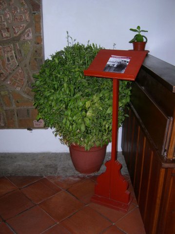 entradapalaciofucares14